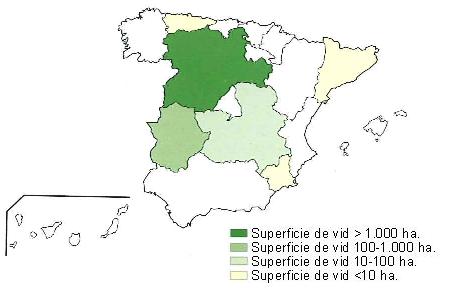 Mapa de Espaa  que muestra Castilla Len con una superficie de vid superior a 1000 hectreas, Extremadura tiene una superficie entre 100 y 1000 hectreas, Castilla la Mancha, entre 10 y 100 hectreas y Catalua, Murcia y Asturias tiene una superficie inferior a 10 hectreas.