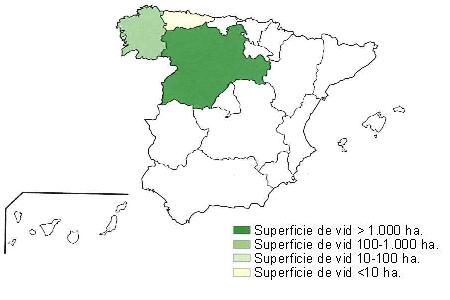 Mapa de Espaa  que muestra  Castilla Len con una superficie de vid superior a 1000 hectreas, Galicia tiene una superficie entre 100 y 1000 hectreas, y Asturias con una superficie de vid inferior a 10 hectreas..