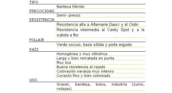 Tipo nantesa hbrido, semi-precoz, resistencia alta a alternara Dauci y al Oidio, resistencia intermedia al Cavity Spot y a la subida a flor, follaje verde oscuro, base slida y porte erguido, raz homognea y muy cilndrica, larga y bien rematada en punta, muy lisa, buena resistencia al rajado, coloracin naranja muy intenso, corazn fino y bien coloreado. Se usa a granel, bandeja, bolsa e industria (zumo y rodajas)