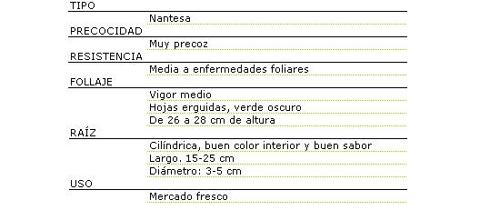 Tipo nantesa, muy precoz con resistencia media a enfermedades foliares, follaje de vigor medio, hojas erguidas de color verde oscuro y de entre 26 a 28 centmetros de altura, Raz cilndrica, buen color interior y buen sabor largo de 15 a 25 centmetros, y de 3 a 5 centmetros de dimetro, su uso es para mercado fresco.