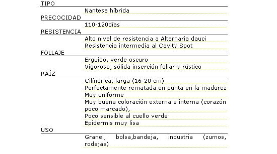 Tipo nantesa hbrida, precocidad entre 110 y 120 das, alto nivel de resistencia a Alternara dauce, resistencia intermedia al Cavity Spot. Follaje erguido, verde oscuro, vigoroso, slida insercin foliar y rstico, raz cilndrica, larga de 16 a 20 centmetros, perfectamente rematada en punta en la madurez, muy uniforme, muy buena coloracin externa e interna (corazn poco marcado), poso sensible al cuello verde, epidermis muy lisa, se usa a granel, bolsa, bandeja e industria (zumos o rodajas) 