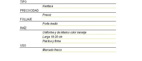 Tipo nantesa, precoz, follaje de porte medio, raz uniforme y de intenso color naranja de 18 a 20 centmetros de largo, piel lisa y firme, se usa para mercado fresco