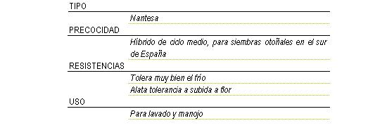 Tipo nantesa, hibrido de ciclo medio para siembras otoales en el sur de Espaa, tolera muy bien el fro, alta tolerancia subida a flor. Se usa para lavado y manojo.