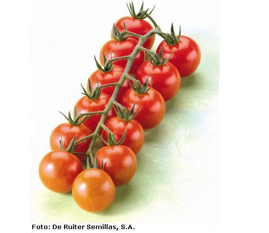 imagen ilustrativa del fruto