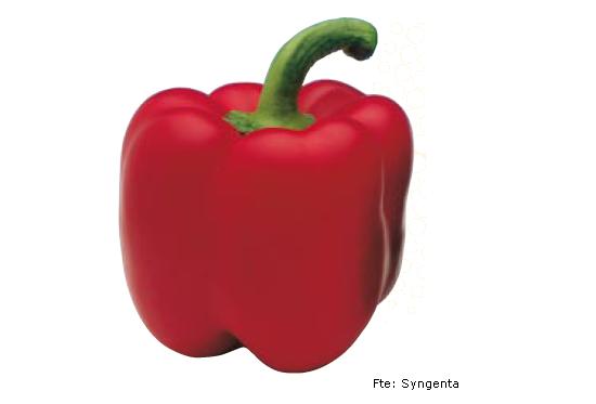 imagen ilustrativa del fruto