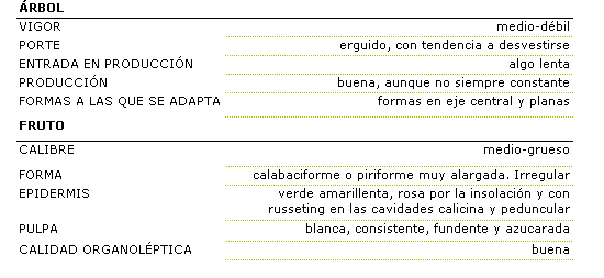 Las caractersticas morfolgicas de la variedad Abatel Fetel son: rbol de vigor medio-dbil, porte erguido, con tendencia a desvestirse, entrada en produccin algo lenta, produccin buena, aunque no siempre constante, las formas a las que se adapta son formas en eje central y planas. El fruto es de calibre medio grueso, con forma calabaciforme o piriforme muy alargada. La epidermis es verde amarillenta, rosa por la insolacin y con russeting en las cavidades calicina y peduncular. la pulpa es blanca, consistente, fundente y azucarada con calidad organolptica buena.