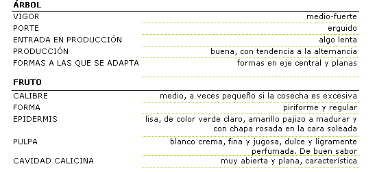 Los caracteres morfolgicos de la variedad son : rbol de vigor medio fuerte, con porte erguido, su entrada en produccin es algo lenta,pero buena produccin con tendencia a la alternancia, se adpata a las formas en eje central y planas. El fruto es de calibre medio,a veces pequeo si la cosecha es excesiva, con forma piriforme y regular. La epidermis es lisa, de color verde claro, amarillo jaizo al madurar y con chapa rosada en la cara soleada. La pulpa clanco crema, es fina y jugosa, dulce y ligeramente perfumada. Buen sabor. La cavidad calicina es muy caracterstica, muy abierta y plana.