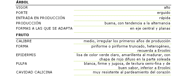 Los caracteres morfolgicos de la variedad son: rbol de vigor alto, porte erguido, entrada en produccin rpida, buena produccin, con tendencia a la alternancia, se adapta en eje central y planas. El fruto tiene calibre medio, irregular los primeros aos de produccin, con forma piriforme o piriforme truncado, heterogneo, recuerda a Ercolini. La epidermis es lisa de color verde claro, amarillenta al madurar, con chapa de color rojo difuso en la parte soleada. la pulpa es blanca, firme y jugosa, de textura semifina y de buen sabor, inferior a Ercolini. la cavidad calicina es muy resistente al pardeamiento del corazn.