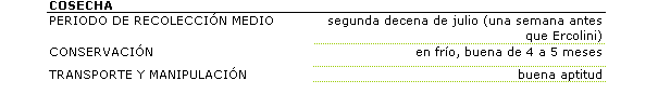 La recoleccin es de la segunda decena de julio (una semana antes de Ercolini). La aptitud para la conservacin en fro es buena de 4 a 5 meses, con buena aptitud al transporte y la manipulacin.