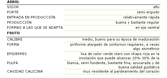 Los caracteres morfolgicos de esta variedad son: rbol de vigor alto, porte semierguido, entrada en produccin relativamente rpida, produccin buena y bastante regular, y se adapata a la forma en eje central. El fruto es de calibre medio, bueno para su poca de maduracin, la forma es piriforme alargado de contornos regulares, a veces algo asimtrico. La epidermis es lisa de color verde claro, con chapa roja en la insolacin que puede alcanzar del 20 al 30 por ciento de la superficie. La pulpa blanca semifundente, bastante fina y azucarada y de buena calidad gustativa. La cavidad calicina es muy resistente al pardeamiento del corazn.