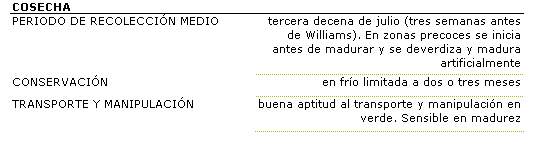 La recoleccin es en la tercera decena de julio (tres semanas antes de Williams). En zonas precoces se inicia antes de madurar y se desverdiza y madura artificialmente. La aptitud para la conservacin en fro es limitada a dos o  tres meses. La aptitud para el transporte y manipulacin es buena en verde, pero sensible en madurez.