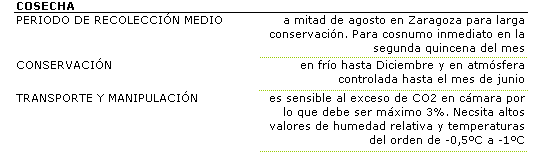 El perodo de recoleccin es a mitad de agosto en Zaragoza para larga conservacin. Para consumo inmediato se recolecta en la segunda quincena del mes. La aptitud para la conservacin es fro es buena unos cuatro meses, en atmsfera controlada hasta 9 meses. En transporte y manipulacin es sensible al exceso de CO2 en cmara por lo que debe se mximo 3%, necesita altos valores de humedad relativa y temperaturas del orden -0,5 a -1 grado centrgado.