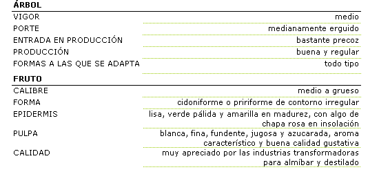 Los caracteres morfolgicos son: rbol de vigor medio, porte medianamente erguido, entrada en produccin bastante precoz, produccin buena y regular adaptable a todo tipo de formas. El fruto es de calibre medio a grueso, forma cidoniforme o piriforme de contorno irregular, epidermis lisa, verde plida y amarilla en madurez, con algo de chapa rosa en insolacin. La pulpa blanca, fina, fundente, jugosa y azucarada, aroma caracterstico y buena calidad gustativa. Por la calidad es muy apreciado por las industrias transformadoras para almbar y destilado.