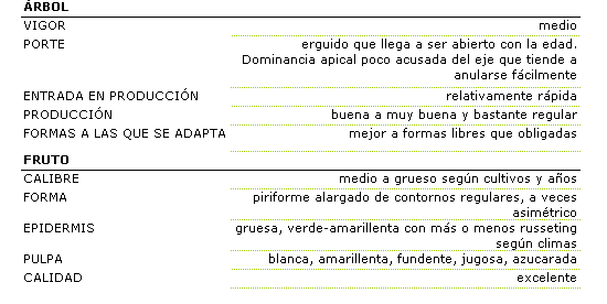 Las caractersticas morfolgicas de la variedad Conferencia son: rbol de vigor medio, porte erguido que llega a ser abierto con la edad, con dominancia apical poco acusada del eje que tiende a anularse fcilmente, rpida entrada en produccin y produccin muy buena y bastante regular. El rbol de esta variedad se adapta mejor a formas libres que a las obligadas. El fruto es de calibre medio a grueso segn cultivos y aos, de forma piriforme alargado de contornos regulares, a veces asimtrico. la epidermis es gruesa, verde amarillenta con ms o menos russeting segn climas. La pulpa es blanca, amrillenta, fundente, jugosa y azucarada. La calidad es excelente.