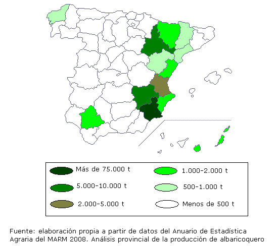 El anlisis provincial de la produccin del albaricoquero basado en los datos del Anuario de estadstica agroalimentaria ao 2008, muestra que Murcia es la provincia que mayor produccin tiene en Espaa con ms de 75.000 toneladas. En segundo lugar con produccin de 5.000 a 10.000 toneladas, estn las provincias de Zaragoza y Albacete, en tercer lugar est la provincia de valencia con produccin comprendida entre los 2.000 y las 5.000 toneladas. Las provincias de Sevilla, Alicante, Castelln, Huesca y Las Palmas son las que producen entre 1.000 y 2.000 toneladas. Por ltimo,  las provincias de Lrida, Tarragona, Teruel y La Corua produciendo entre 500 y 1.000 toneladas.