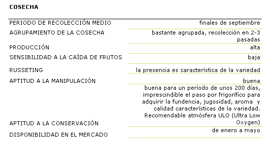 Es una variedad de maduracin bastante agrupada, con la recoleccin en 2 a 3 pasadas, es de finales de septiembre, produccin alta y baja sensibilidad a la cada de frutos. Es caracterstica de esta variedad la presencia de russeting. Presenta buena aptitud a la manipulacin para un perodo de unos 200 das, imprescindible el paso por frigorfico para adquirir la fundencia, jugosidad, aroma y calidad. La disponibilidad en el mercado es de enero a amyo.