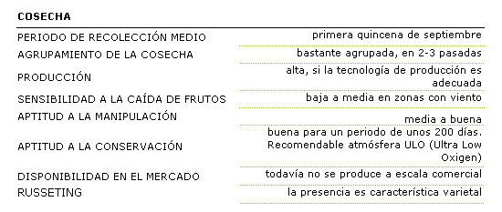 La recoleccin de esta variedad es en la primera quincena de septiembre, con una maduracin bastante agrupada, se realiza en 2  3 pasadas. La produccin es alta, si la tecnologa de produccin es la adecuada. La sensibilidad a la cada de frutos es baja pero sube a media en zonas con viento. La aptitud a la manipulacin es de media a buena. la aptitud para la conservacin es buena para un perodo de unos 200 das, recomendable en atmsfera controlada. Todava no se produce a escala comercial. El russeting es una caracterstica de la variedad.