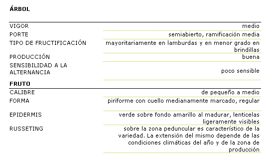 Los caracteres morfolgicos de la variedad Rocha son: rbol de vigor medio, porte semiabierto, ramificacin media. La frutificacin es tipo lamburdas y en menor grado brindillas, la produccin es buena y muestra poca sensibilidad a la alternancia. El fruto es de calibre pequeo a medio, forma piriforme con cuello medianamente marcado, regular.la epidermis es verde sobre fondo amarillo al madurar, lenticelas ligeramente visible. El russeting sobre la zona peduncular es caracterstico de la variedad. la extensin del mismo depende de las condiciones climticas del ao y de la zona de produccin.