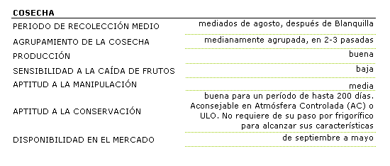 El perodo de recoleccin medio es mediados de agosto, despus de Blanquilla, con maduracin medianamente agrupada, en 2 a 3 pasadas, la produccin es buena, la sensibilidad a la cada de frutos es baja. La aptitud a la manipulacin es media y buena para la conservacin para un perodo de hasta 200 das en atmsfera controladas. La disponibilidad en el mercado es de septiembre a mayo.