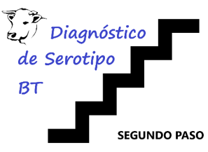 Diagnóstico BT Segundo paso