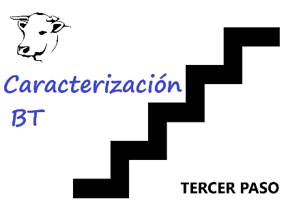 Caracterización BT Tercer paso