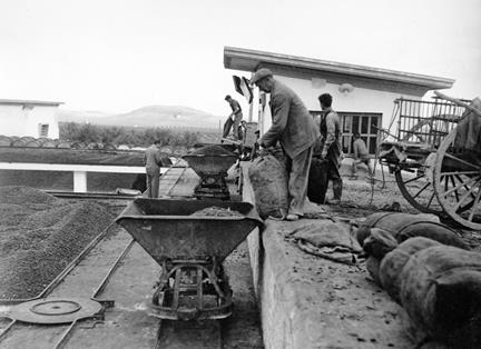 Almazara de la Cooperativa Agrícola San Juan (Jaén).
Autor: Antonio Illanas Calleja. 1959. MAPA.
