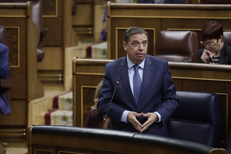 Hoy, en el pleno del Congreso de los Diputados  