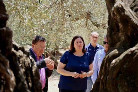 Begoña García destaca el sector del olivar como pieza clave para el desarrollo rural 