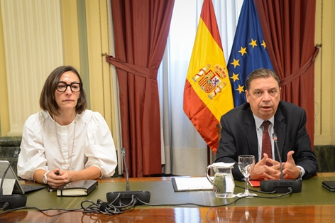 Luis Planas se reúne con las patronales de la distribución alimentaria ACES, Anged y Asedas en el marco de la Estrategia Nacional de Alimentación foto 6