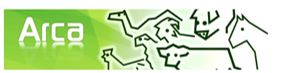 ARCA ARCA