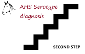 AHS serotype diagnosis_step2