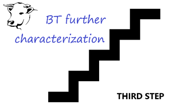 BT further characterization_step3