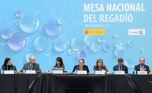 Segunda reunión del pleno de la Mesa Nacional del Regadío foto 5