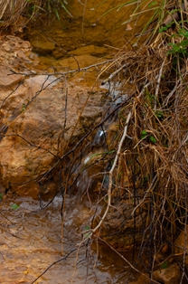 Detail of seasonal watercourse on the Júcar Nature Trail