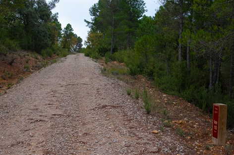 Kilometre point 10 of stage 7 of the Júcar Nature Trail