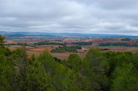 Panoramic view of the Cuenca mountain range in the background from the pine forest massif