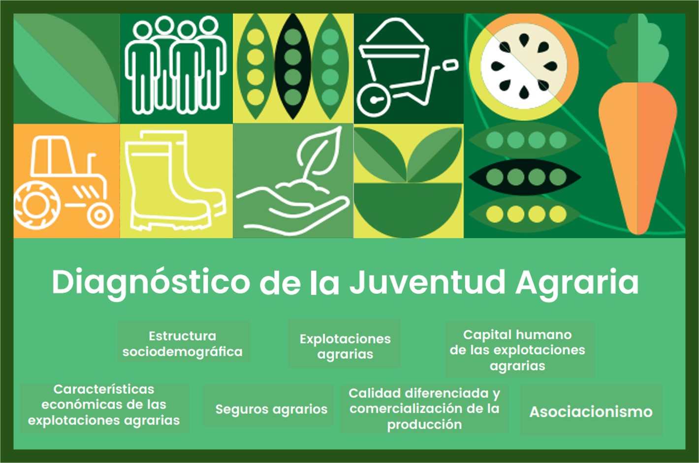 Ilustración de la portada del Diagnóstico de la juventud agraria, con los contenidos principales: estructura sociodemográfica, explotaciones agrarias, capital humano de las explotaciones agrarias, características económicas de las explotaciones agrarias, seguros agrarios, calidad diferenciada y comercialización de la producción y asociacionismo.