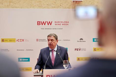 Hoy, en la V edición de la Barcelona Wine Week 