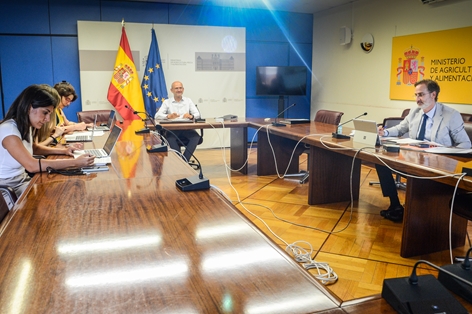 Hoy, en la reunión plenaria celebrada en la sede del ministerio foto 3