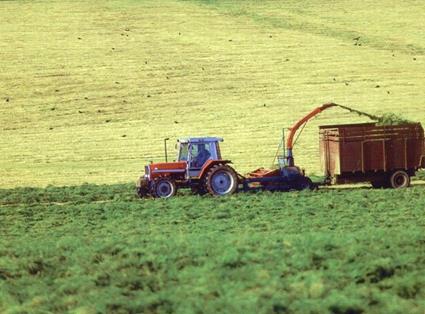 Plan Seguros Agrarios