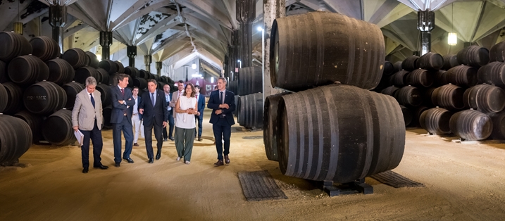 Hoy, en Jerez de la Frontera foto 6