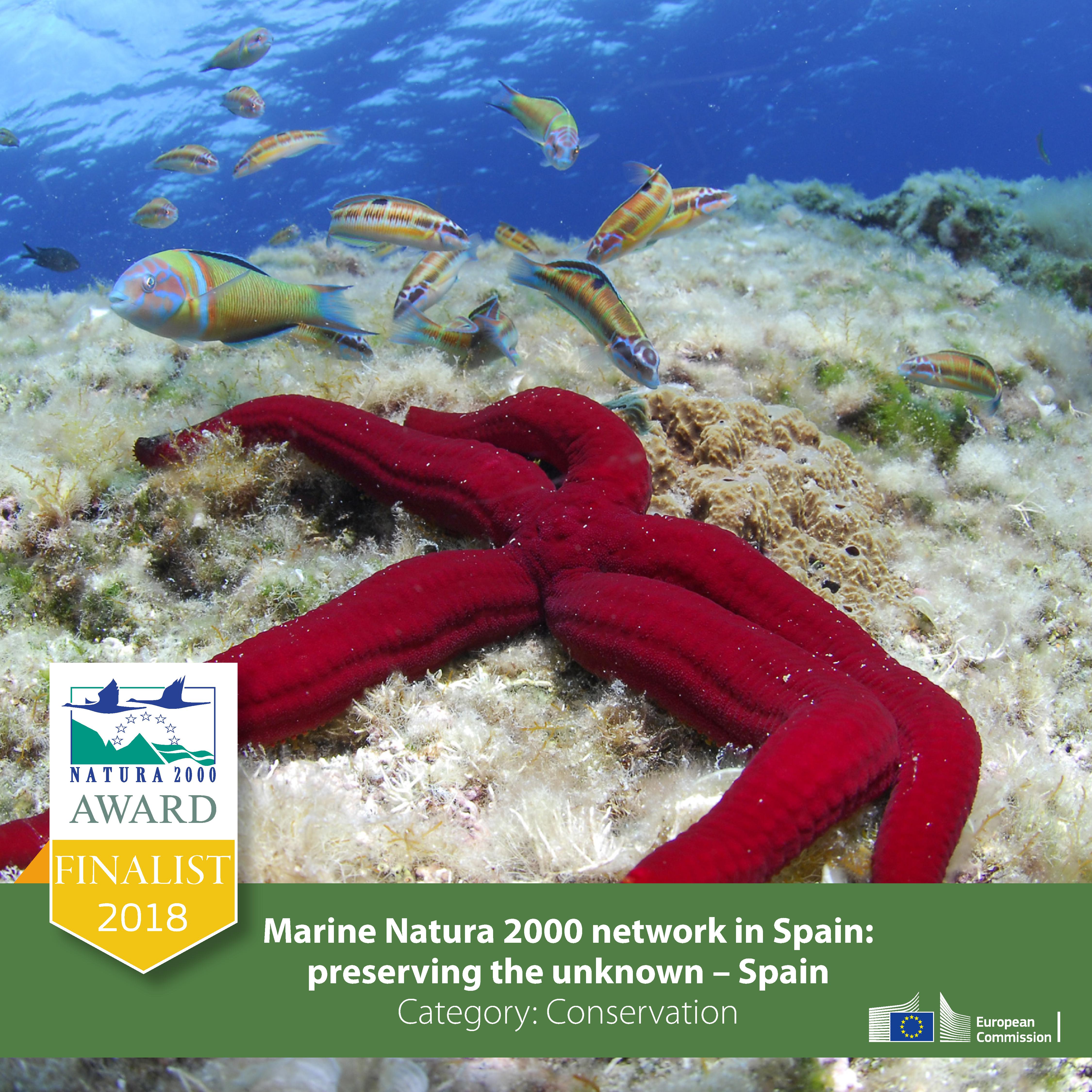 España, candidata a los Premios Natura 2000 que entrega la Comisión Europea  por su trabajo en materia de conservación marina en el proyecto LIFE+  INDEMARES