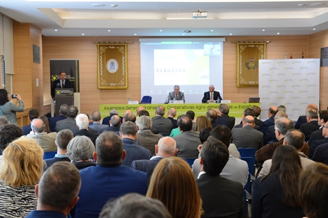 Hoy, en la clausura de la asamblea general de Cooperativas Agroalimentarias de España   foto 11