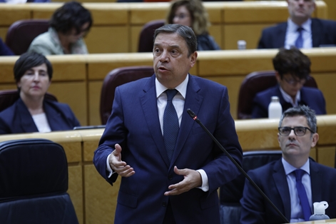 Hoy, en respuesta a una pregunta parlamentaria en el Senado foto 3