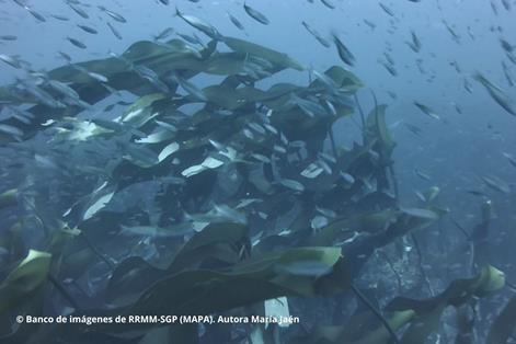 Espacio protegido gestionado por el Ministerio de Agricultura, Pesca y Alimentación  foto 3