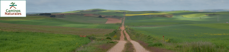 Camino Natural del Románico Palentino. Ruta del Carbón de Cok. Etapa 1