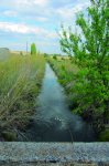 Canal de riego