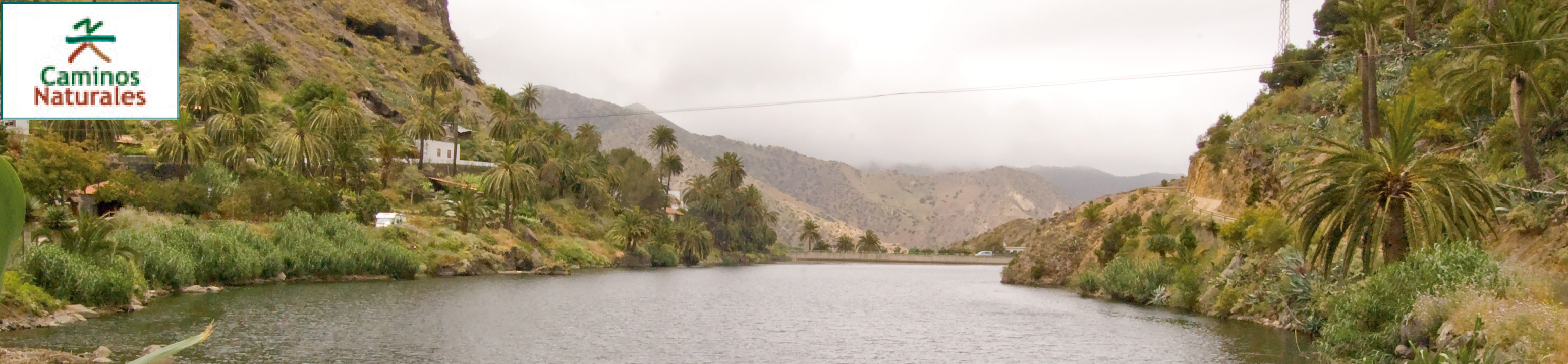 Camino Natural Cumbres de La Gomera. Etapa 3