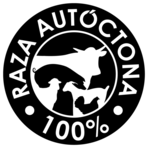 Logotipo raza ovino xisqueta