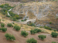 Puente medieval sobre el río Víboras